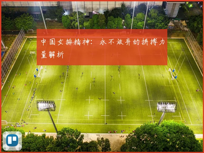 中国女排精神：永不放弃的拼搏力量解析
