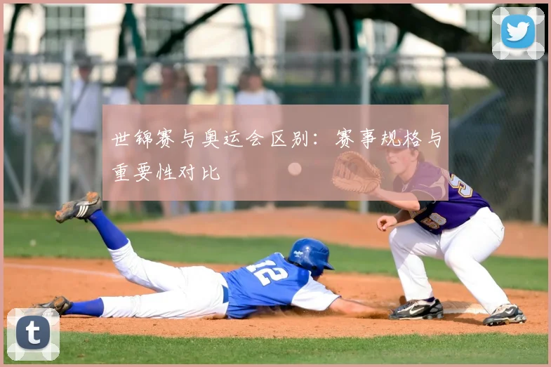 世锦赛与奥运会区别：赛事规格与重要性对比