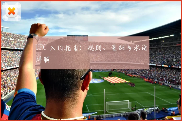 UFC 入门指南：规则、量级与术语详解
