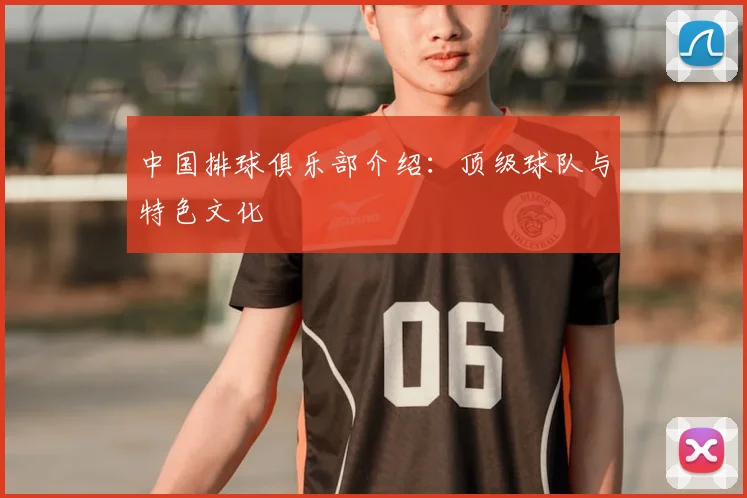中国排球俱乐部介绍：顶级球队与特色文化