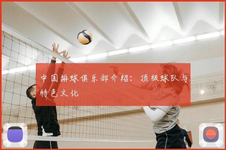 中国排球俱乐部介绍：顶级球队与特色文化